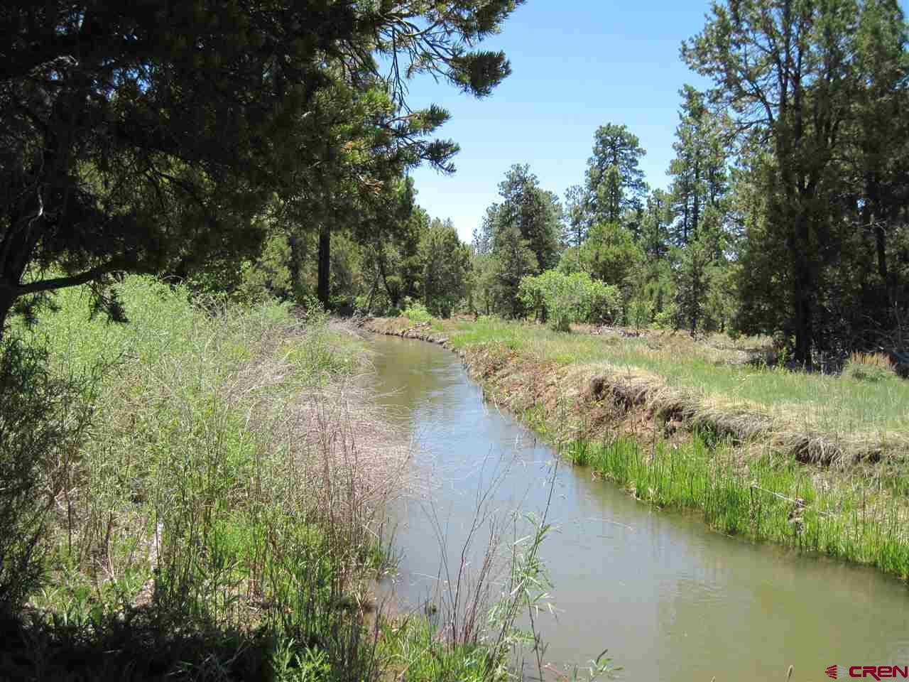 L2 Squaw Apple Road Durango, CO 81301 - Photo 4 of 15
