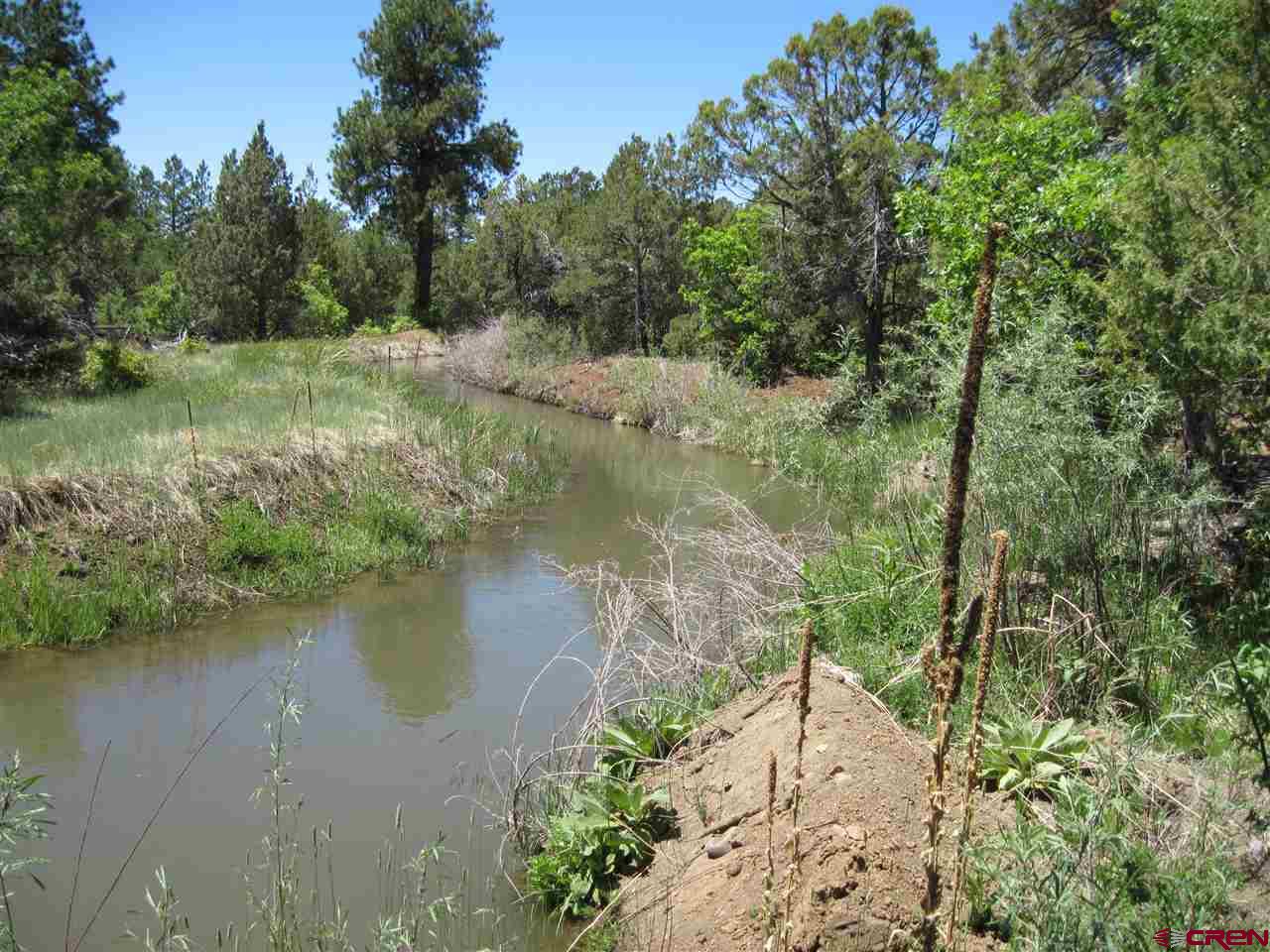 L2 Squaw Apple Road Durango, CO 81301 - Photo 5 of 15