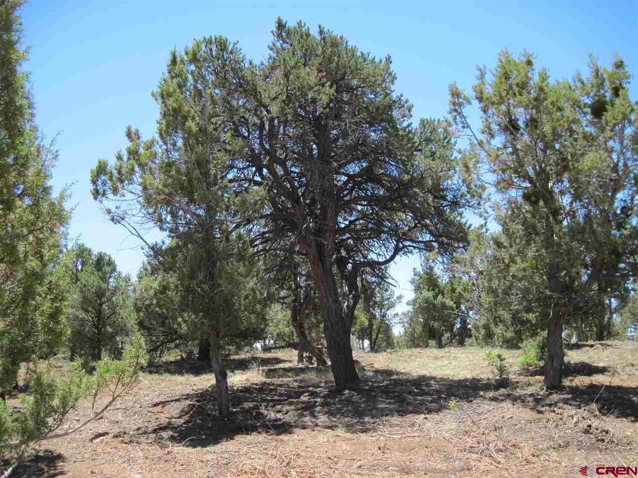 L2 Squaw Apple Road Durango, CO 81301 - Photo 6 of 15