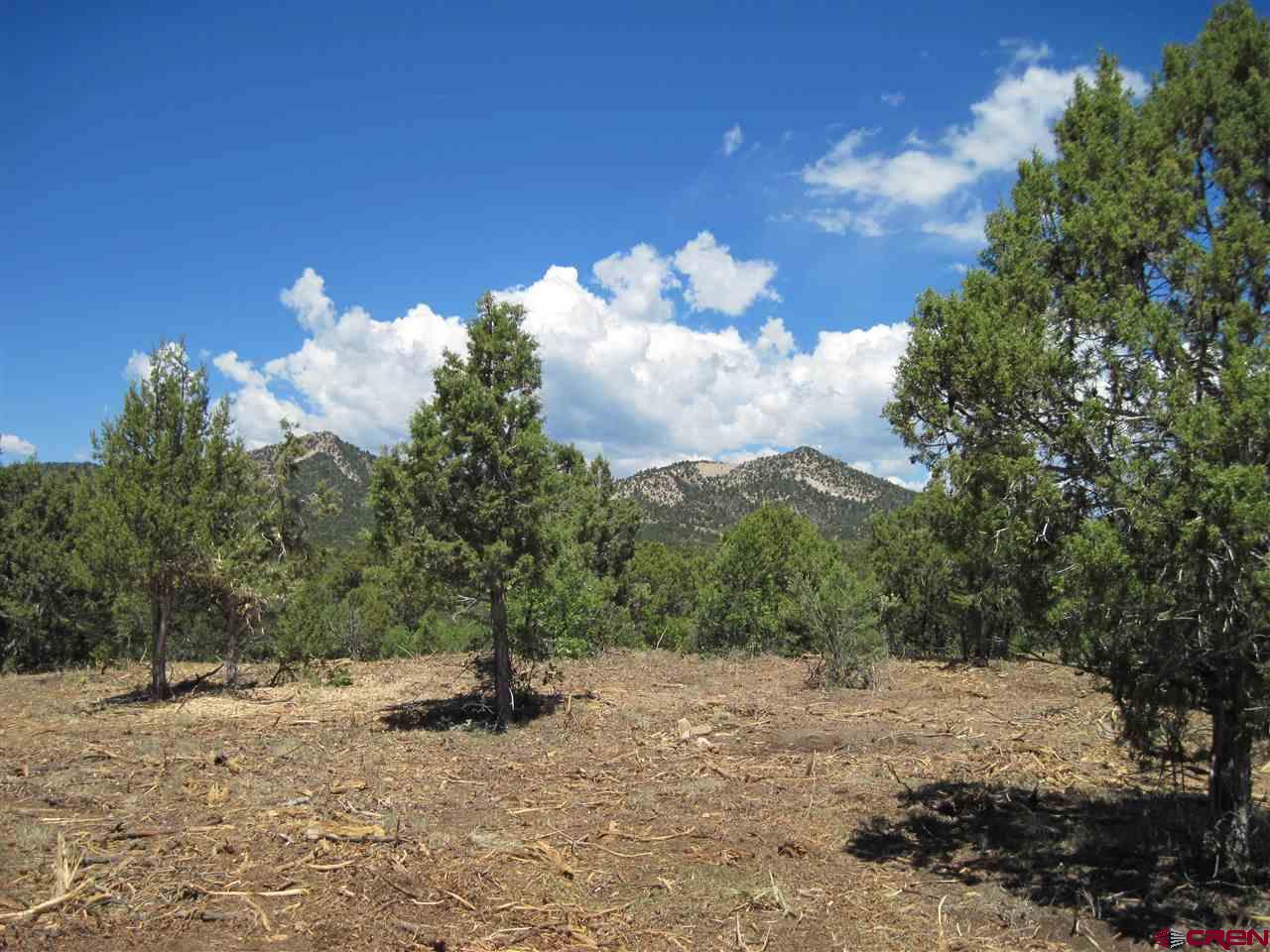 L2 Squaw Apple Road Durango, CO 81301 - Photo 7 of 15