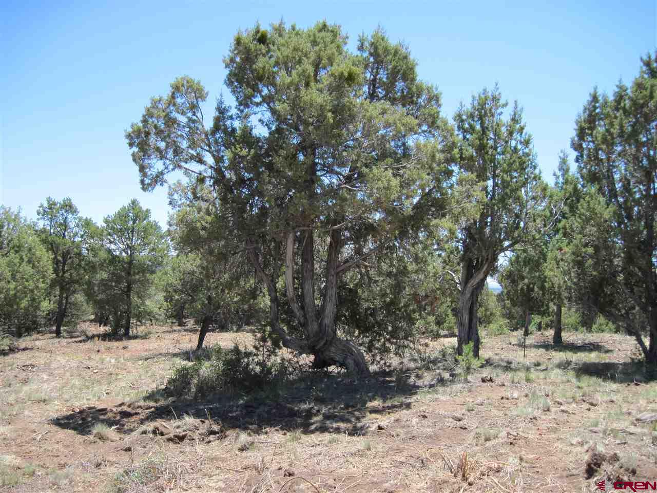 L2 Squaw Apple Road Durango, CO 81301 - Photo 9 of 15