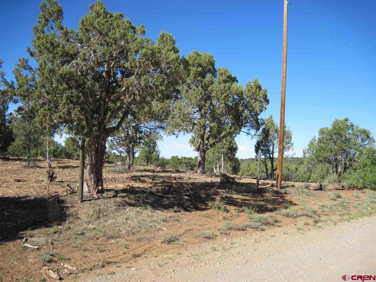 L2 Squaw Apple Road Durango, CO 81301 - Photo 10 of 15