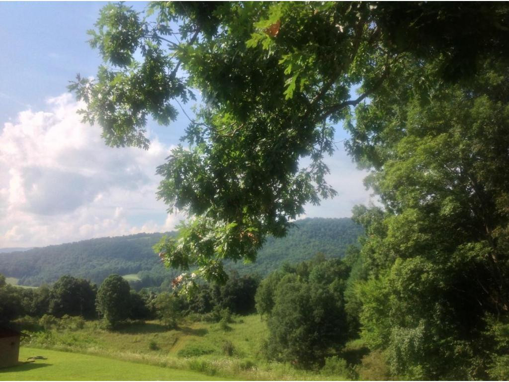 0 Draft (elk Ridge Butler, TN 37640 - Photo 1 of 4 Photo 1