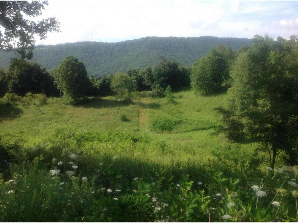 0 Draft (elk Ridge Butler, TN 37640 - Photo 2 of 4 Photo 2