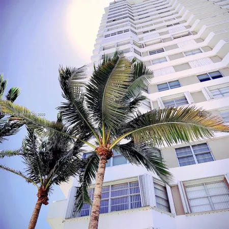 a view of a house with a palm tree