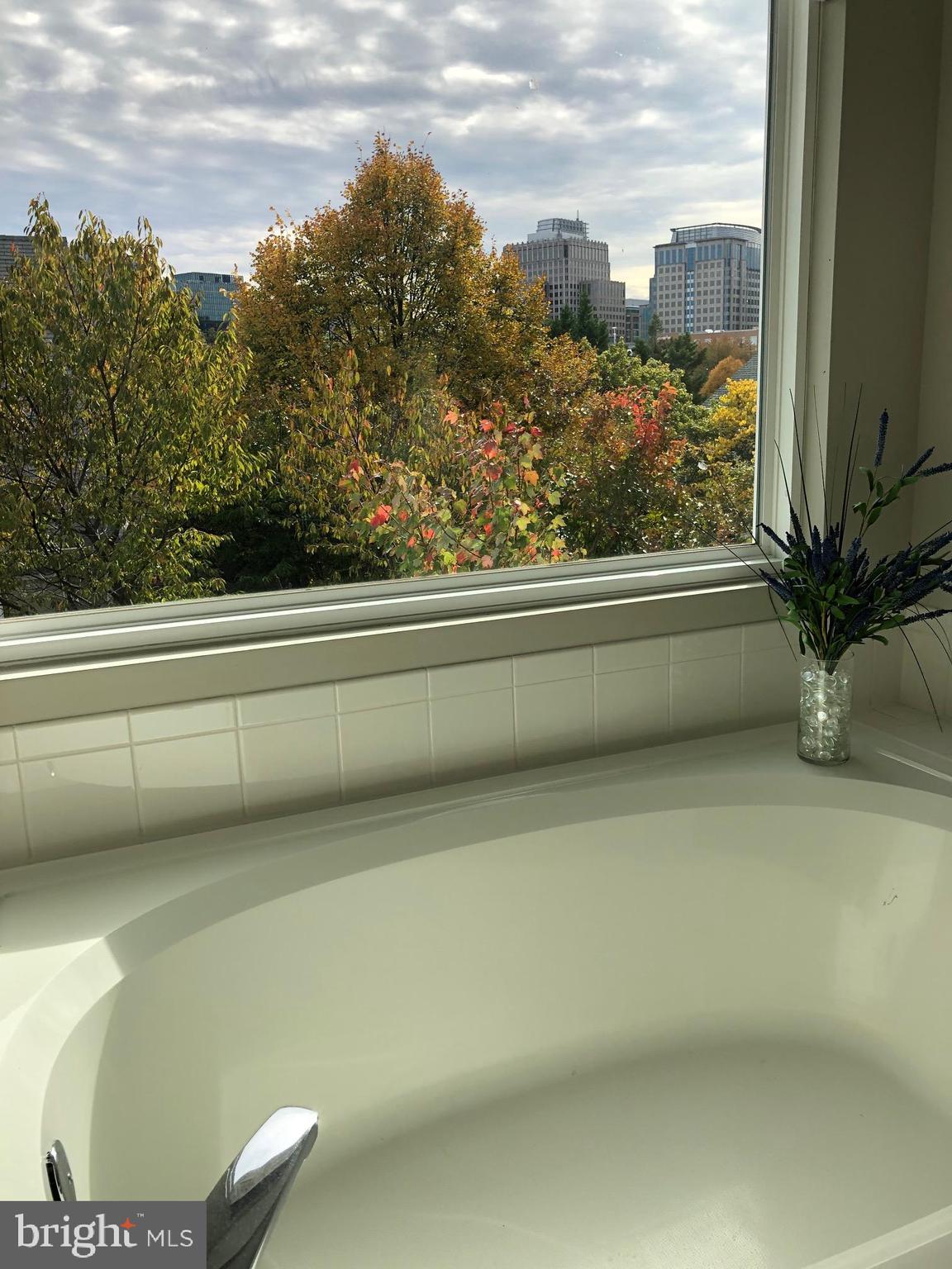 1715 Blue Flint Court Reston, VA 20190 - Photo 25 of 33 Master bath & view