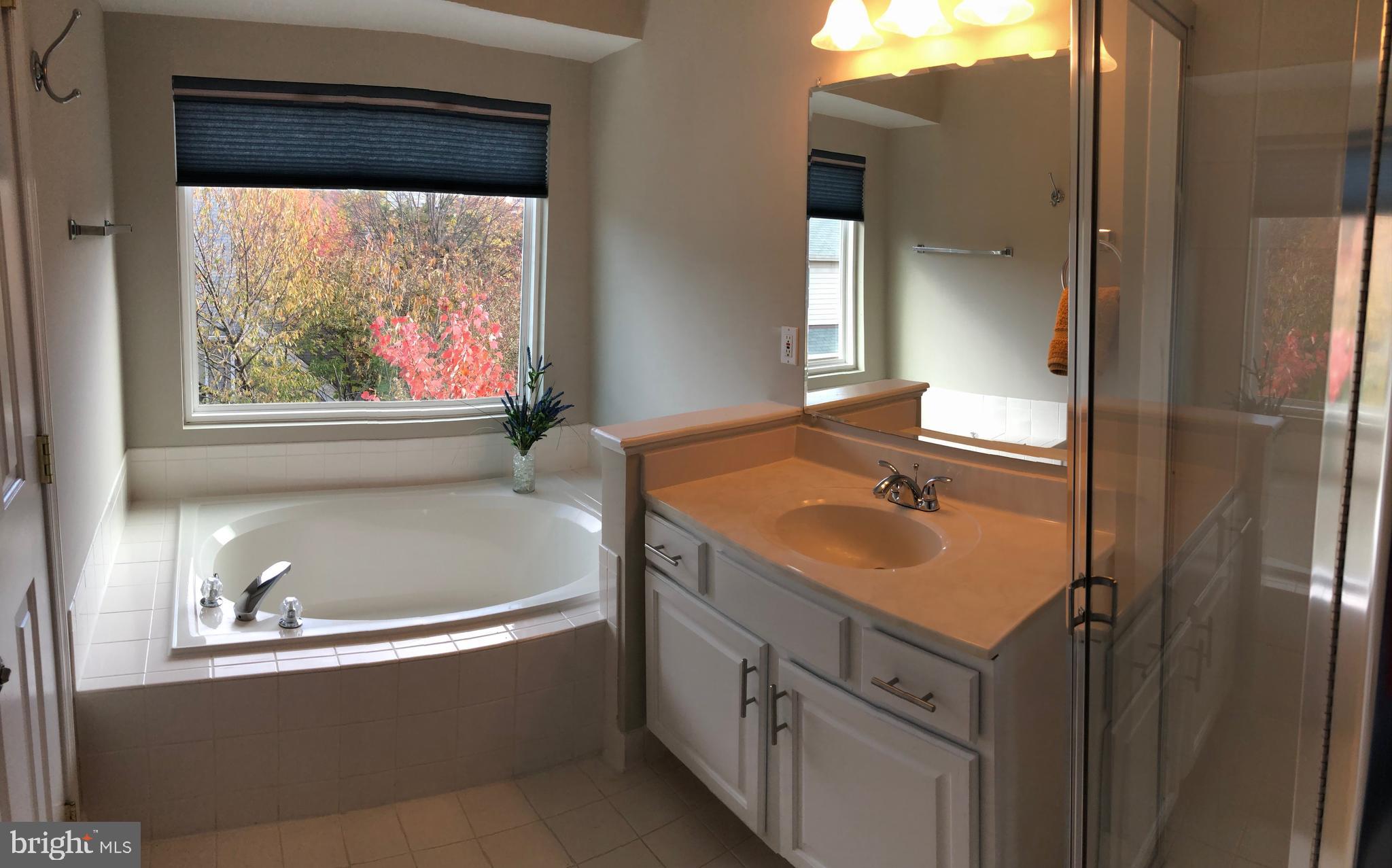 1715 Blue Flint Court Reston, VA 20190 - Photo 26 of 33 Master bath