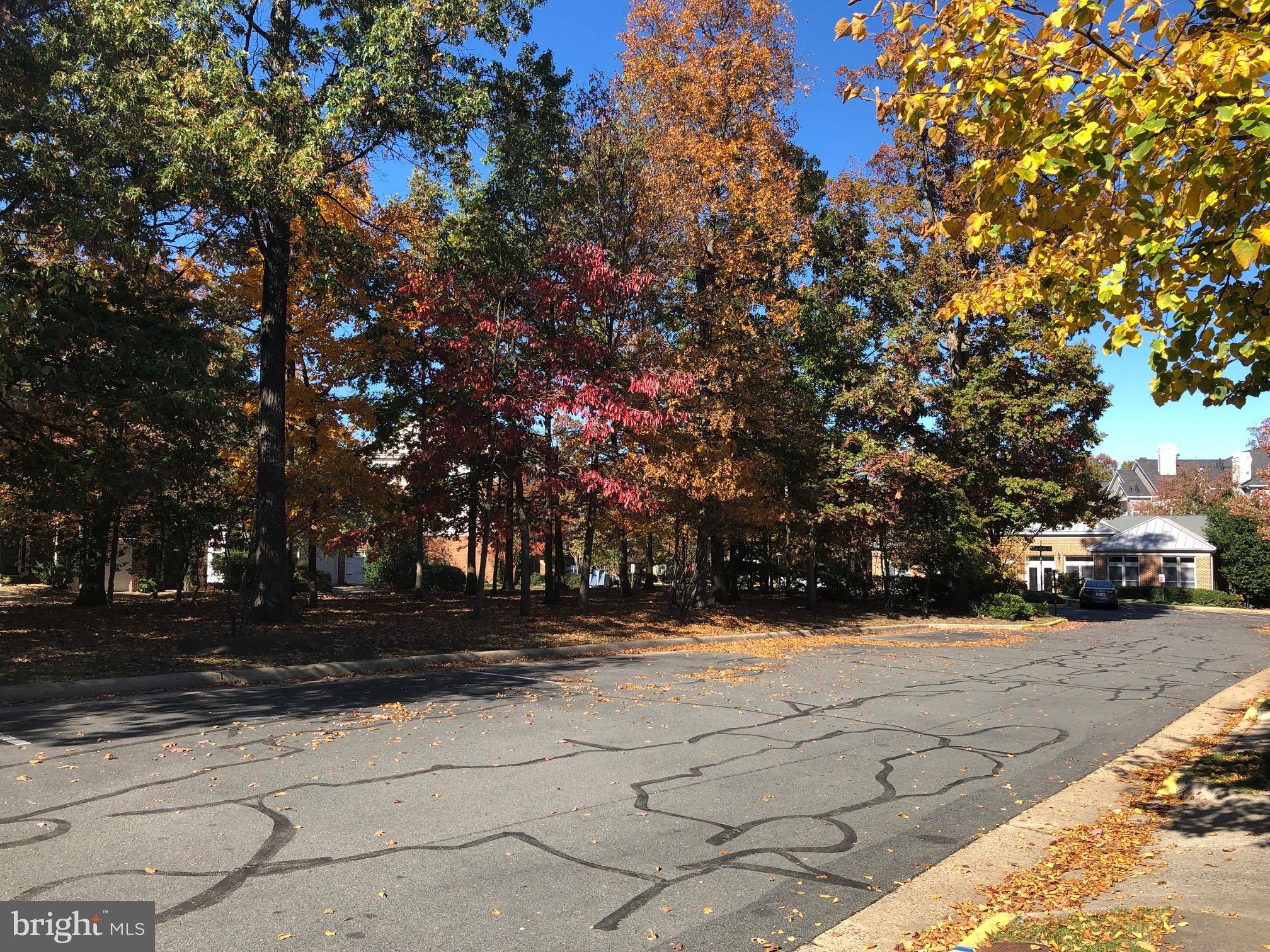 1715 Blue Flint Court Reston, VA 20190 - Photo 29 of 33 Open parking spaces in front
