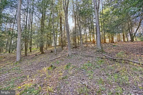 $369,900 | 45 Laurel Lane, Loganton, PA 17747