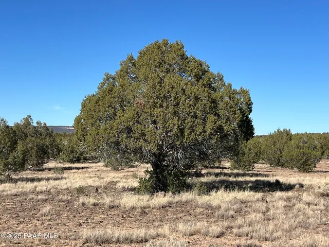 $165,000 | 6800 Grand Vista Ranch Road, Williams, AZ 86046