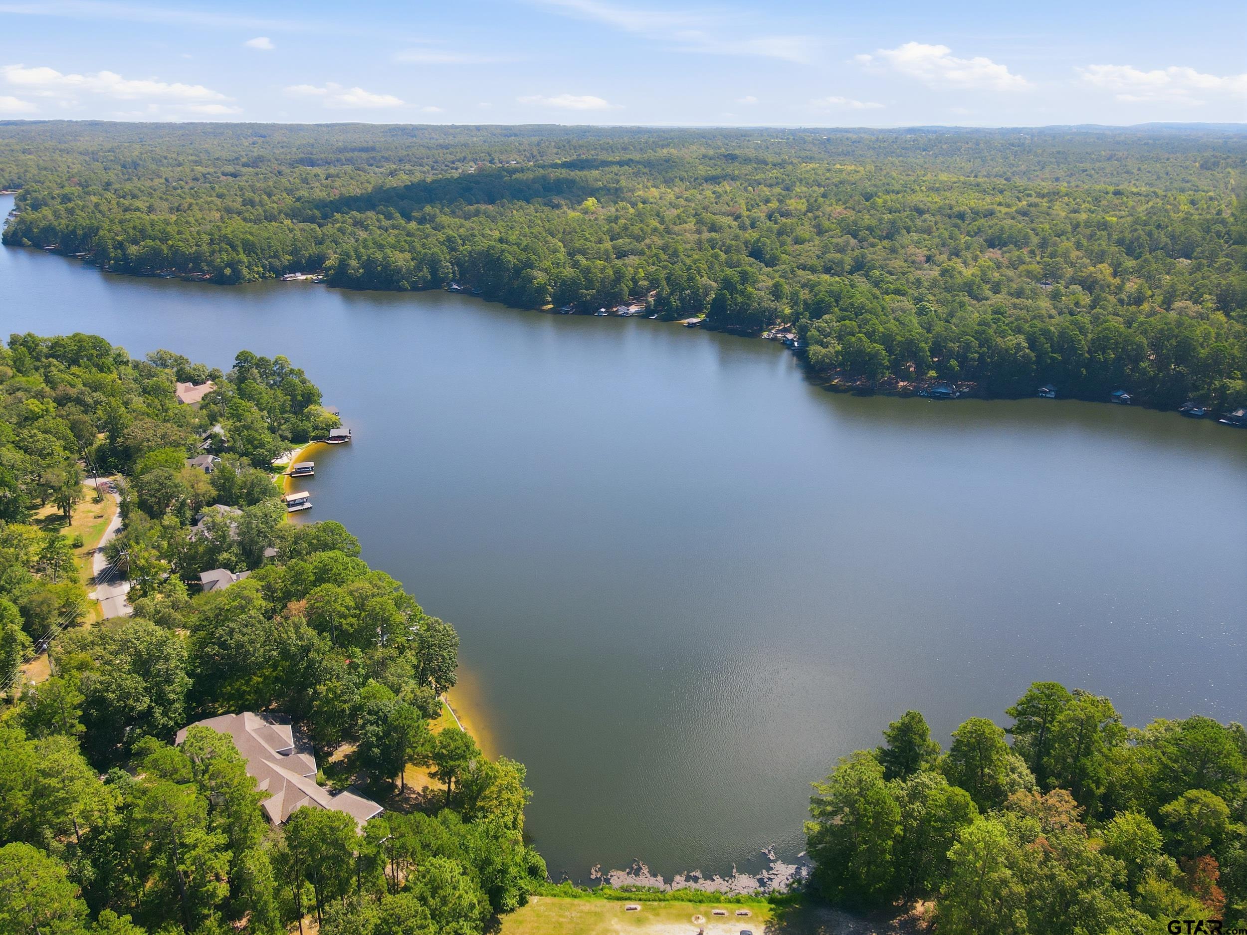 Tbd Tbd Holly Lake Ranch, TX 75765 - Photo 16 of 19 Gallery Image 16