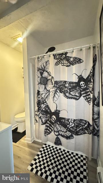 35 West Hanover Street Hanover, PA 17331 - Photo 9 of 11 Whimsical bathroom with bold motifs.
