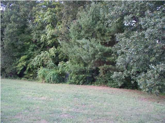 186 Adams Street Spring City, TN 37381 - Photo 21 of 25 Additional Photo