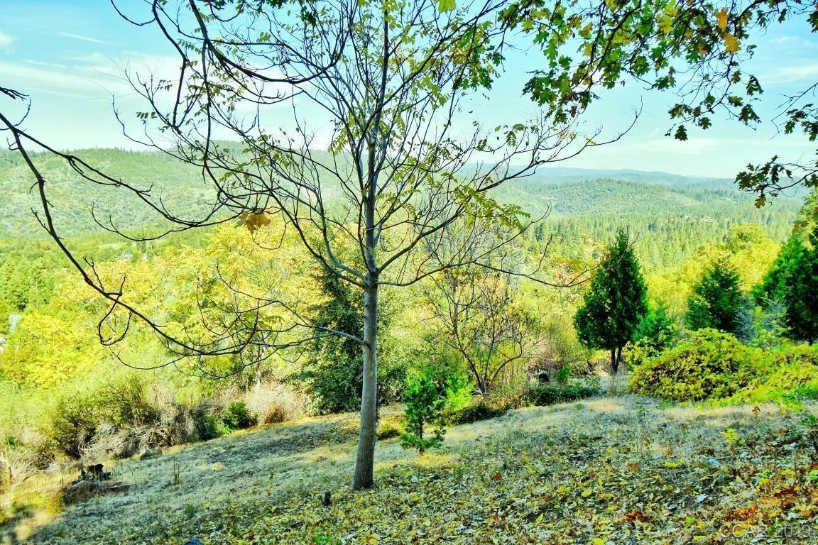 398 Snowberry Court Murphys, CA 95247 - Photo 1 of 1 a view of yard with large trees