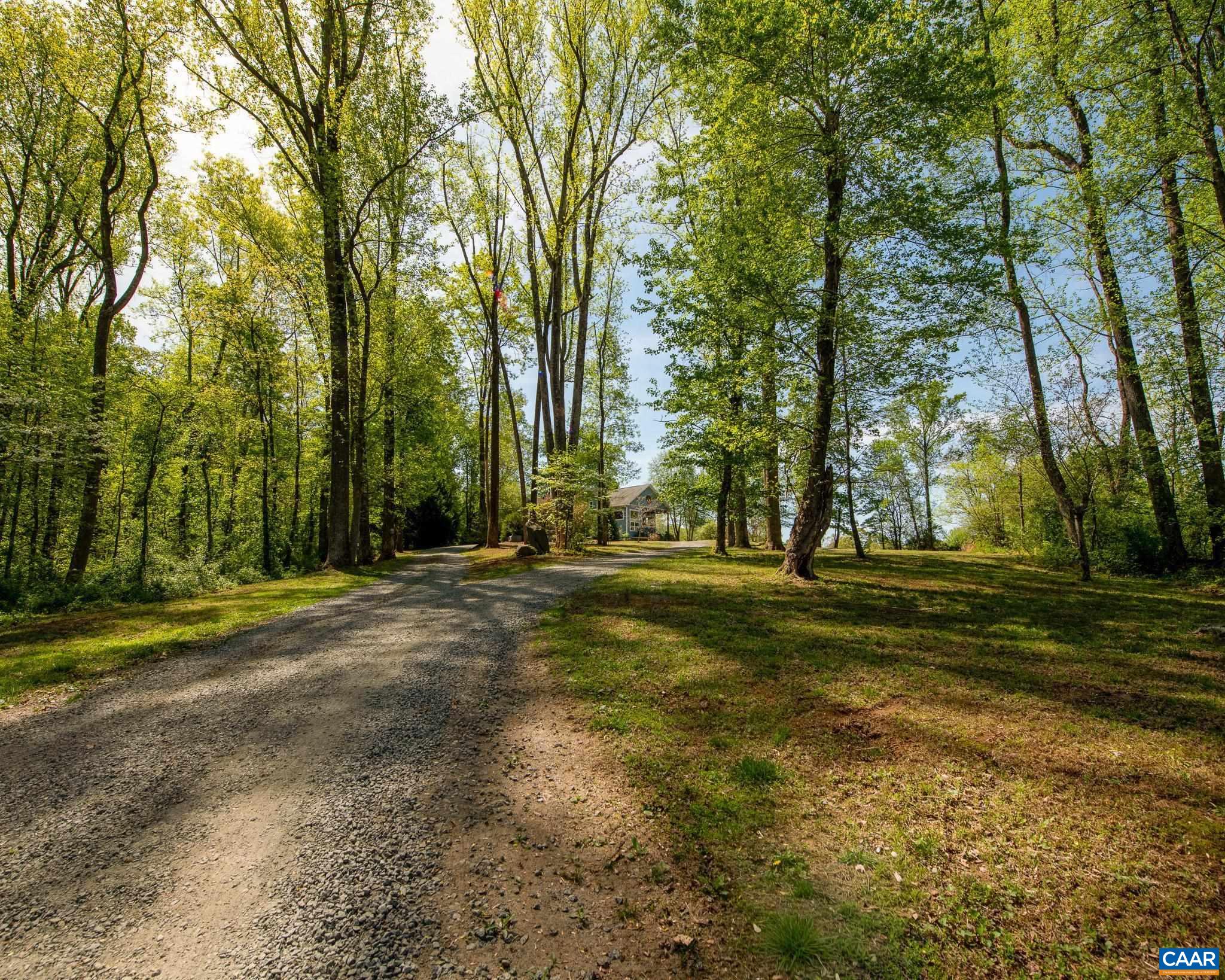 1671 Dudley Mountain Road Charlottesville, VA 22903 - Photo 41 of 60 a view of a yard with trees