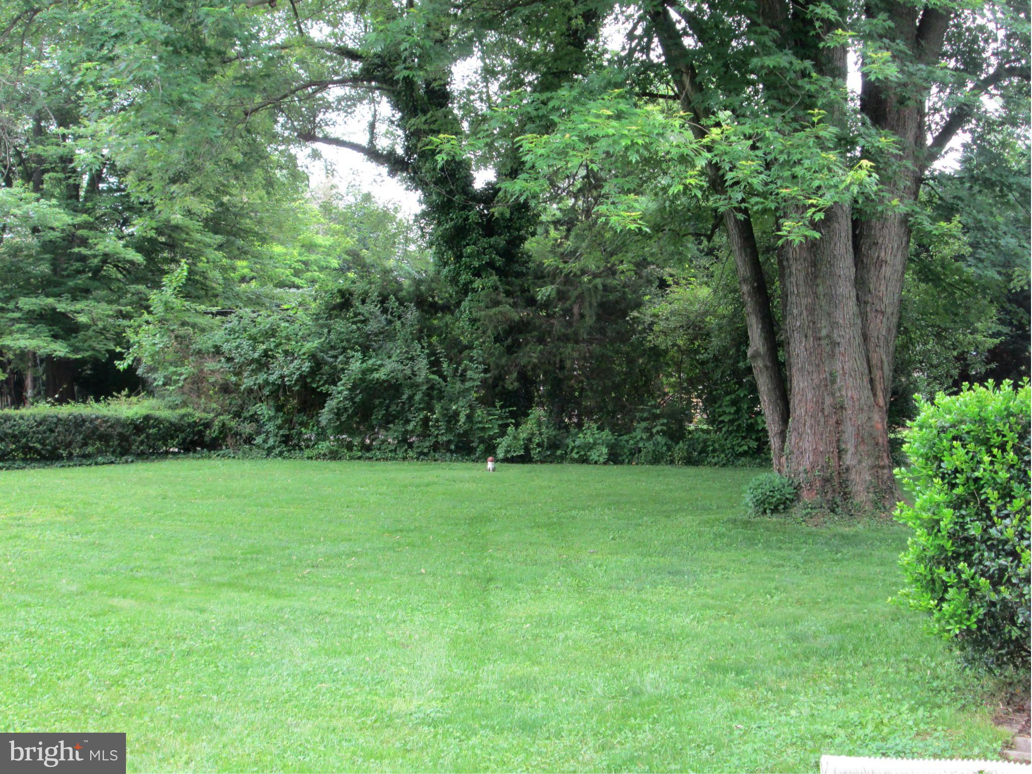 3061 Evans Road Riva, MD 21140 - Photo 20 of 22 a view of a grassy field with trees in the background