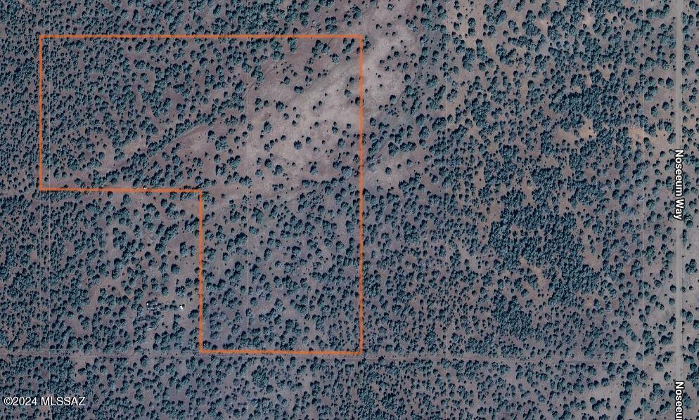 268 Olivas Alone Road Williams, AZ 86046 - Photo 8 of 12