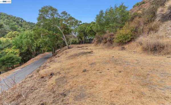 a view of a yard with a tree