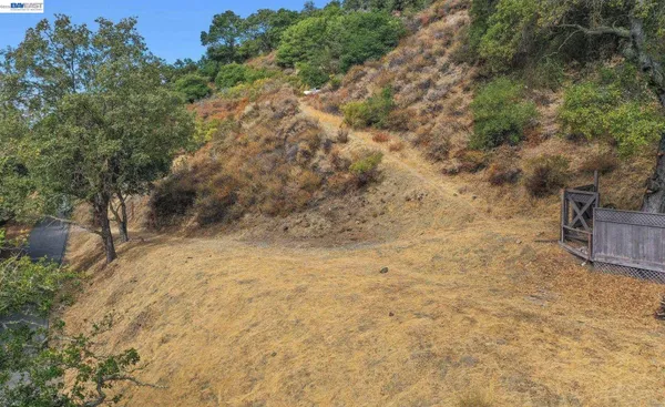 a view of a dry yard with trees in the background