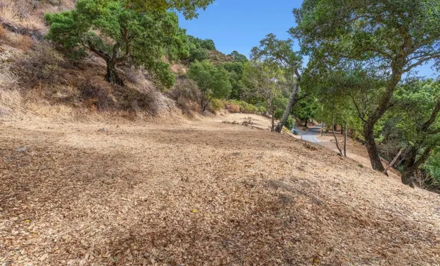 a view of a dry yard with trees in the background