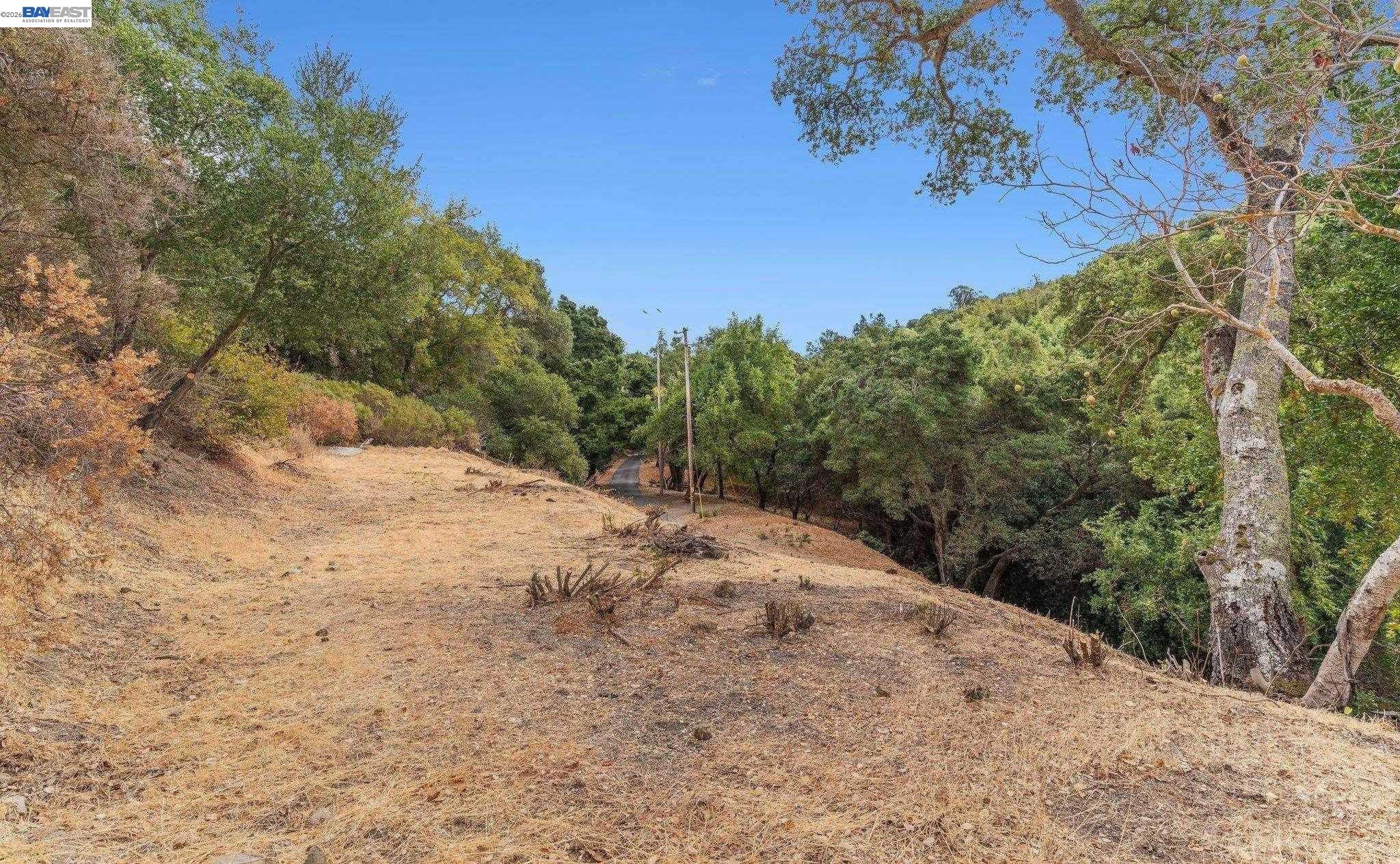 0 Hunsaker Canyon Road Lafayette, CA 94549 - Photo 17 of 26 a view of a dry yard with trees in the background