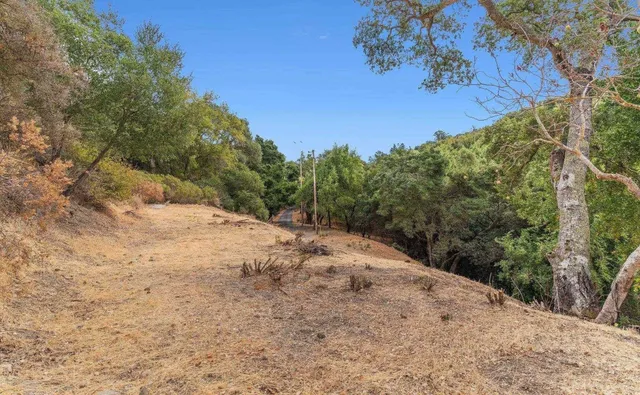 a view of a dry yard with trees in the background