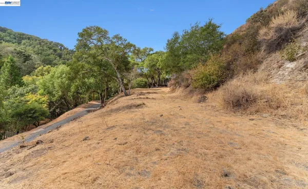 a view of a dry yard with trees