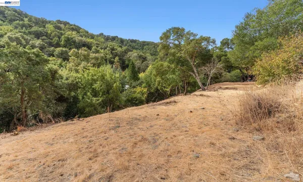 a view of a forest with a houses