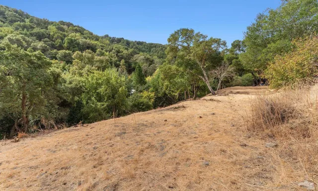 a view of a forest with a houses