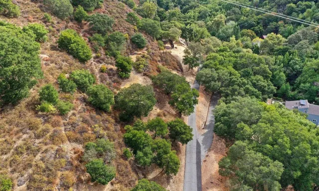 an aerial view of a forest with houses