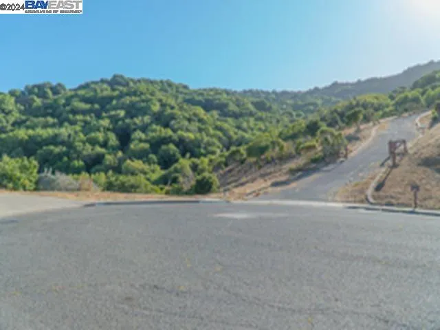 a view of a lot of trees and bushes