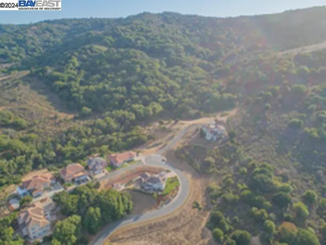 a view of a forest with a yard