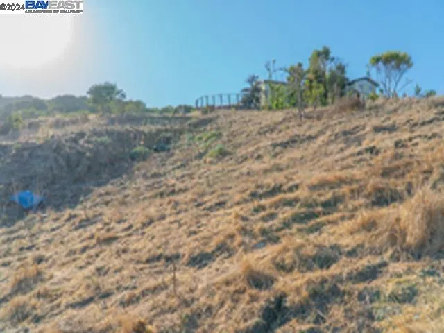 a view of a yard with a street