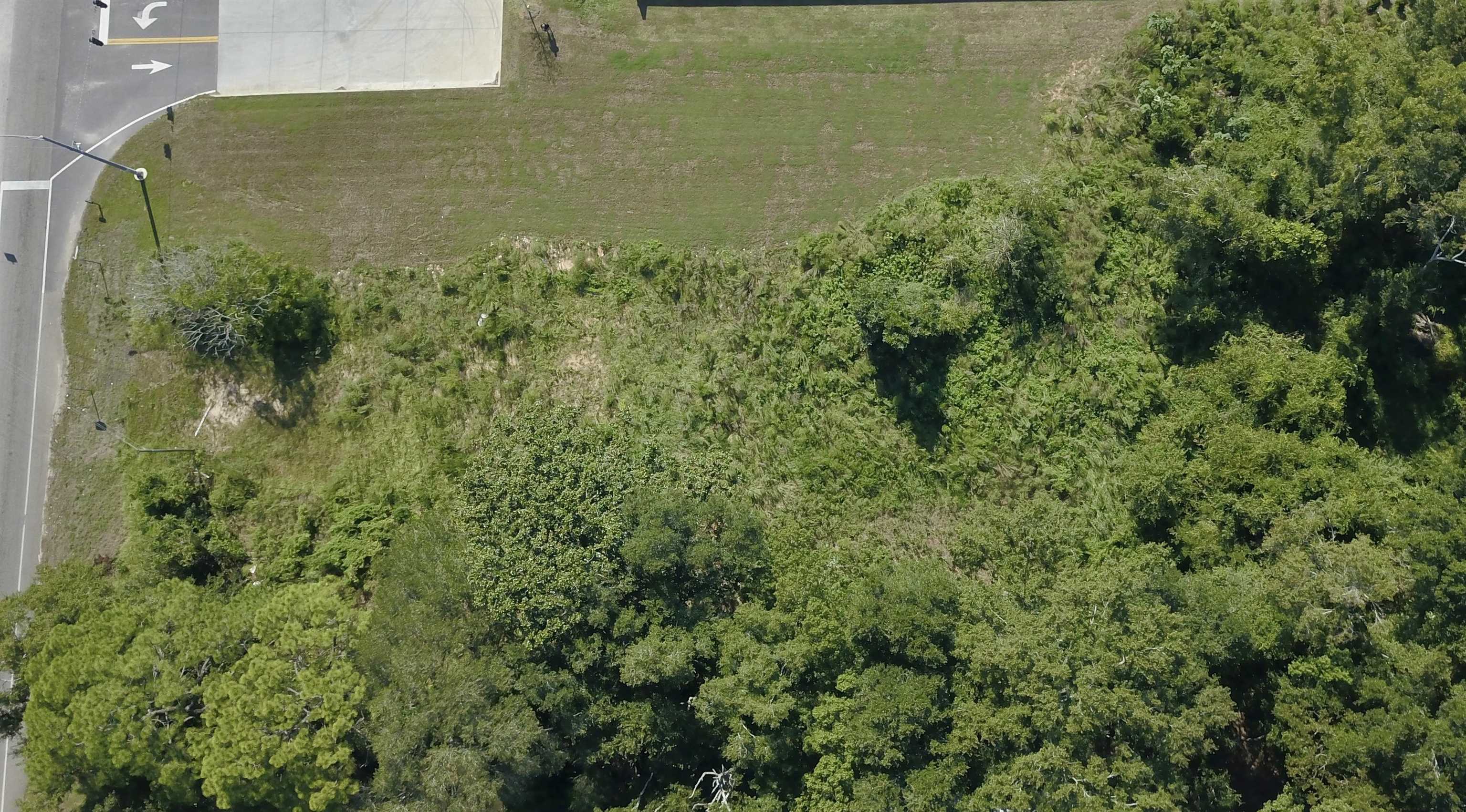 14745 Highway 98 Foley, AL 36535 - Photo 12 of 13