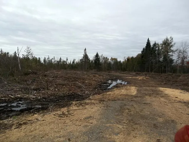 $39,900 | 0 Houlton Road, Princeton, ME 04668