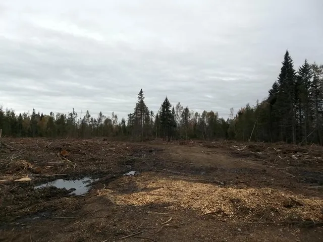 $39,900 | 0 Houlton Road, Princeton, ME 04668