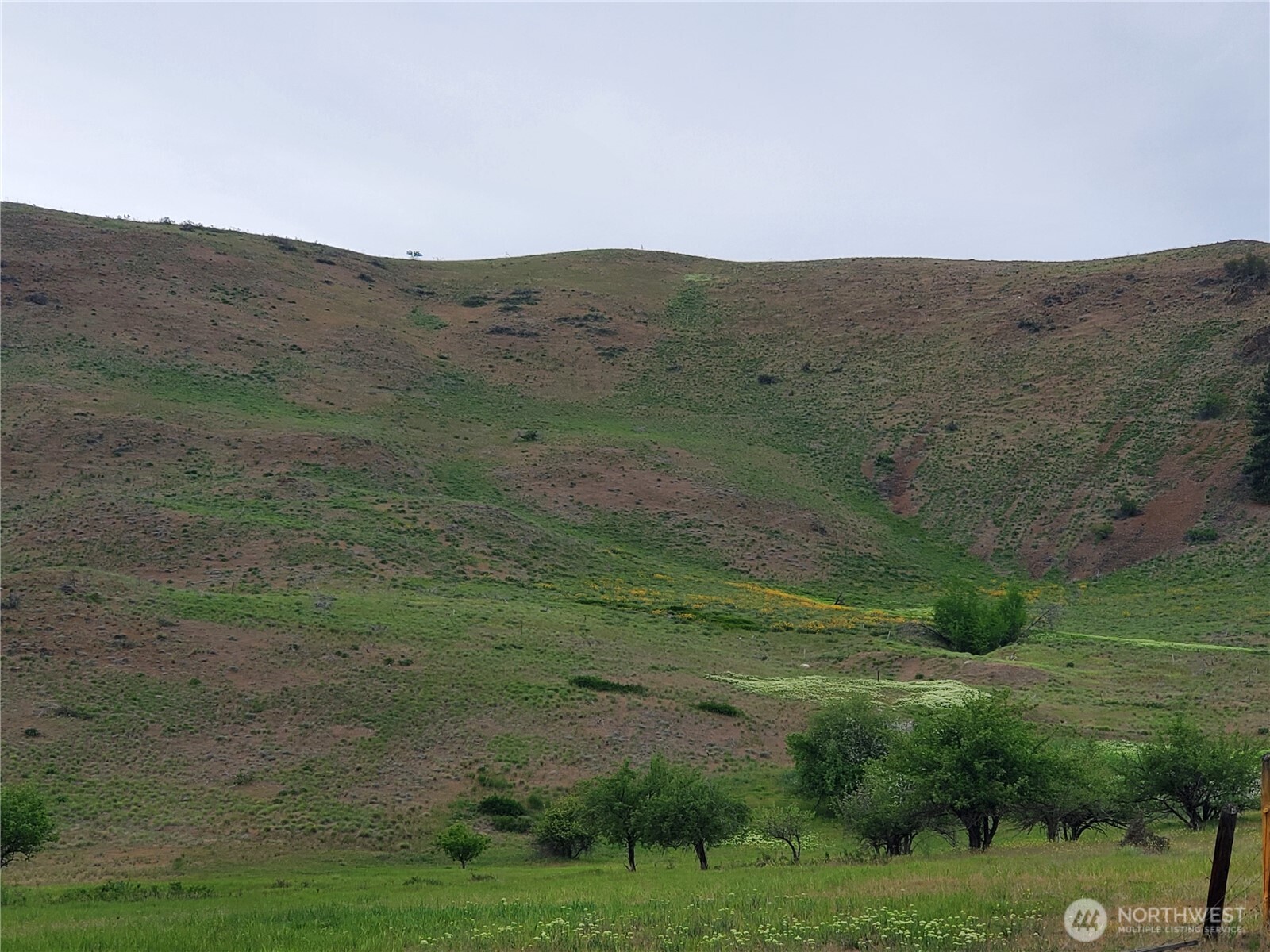 187 Twisp River Road Twisp, WA 98856 - Photo 11 of 40