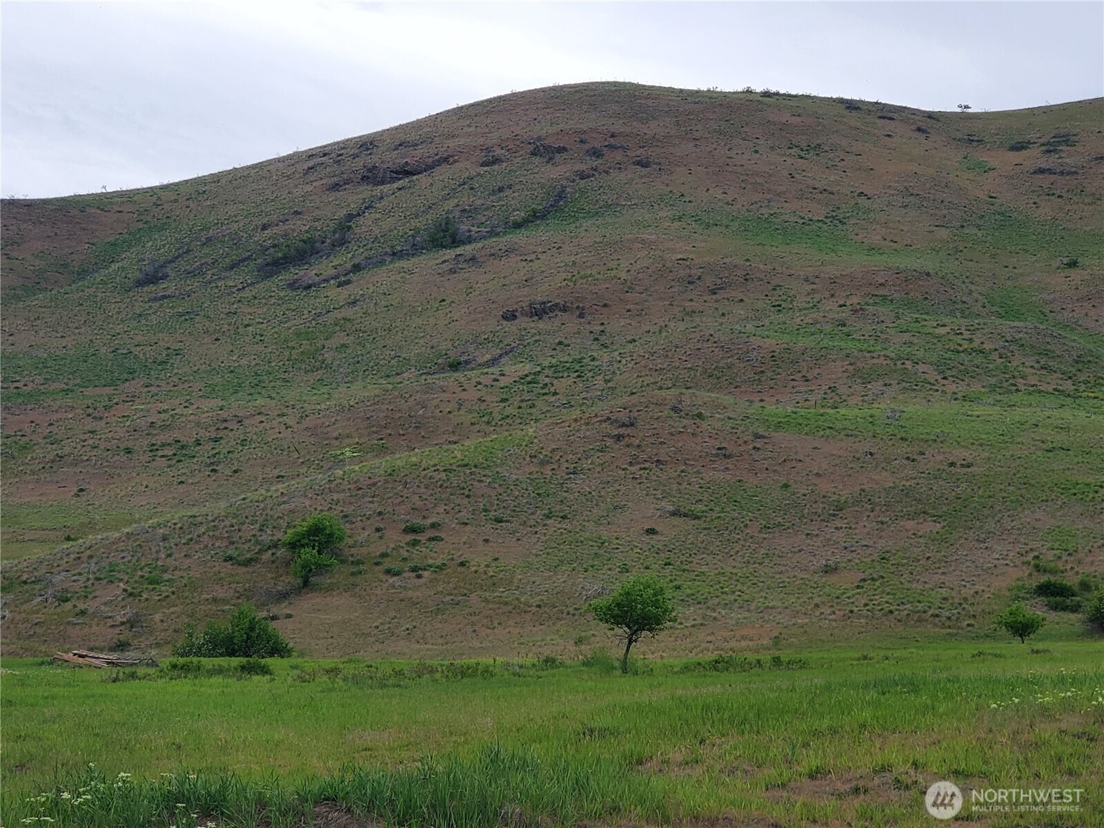 187 Twisp River Road Twisp, WA 98856 - Photo 12 of 40