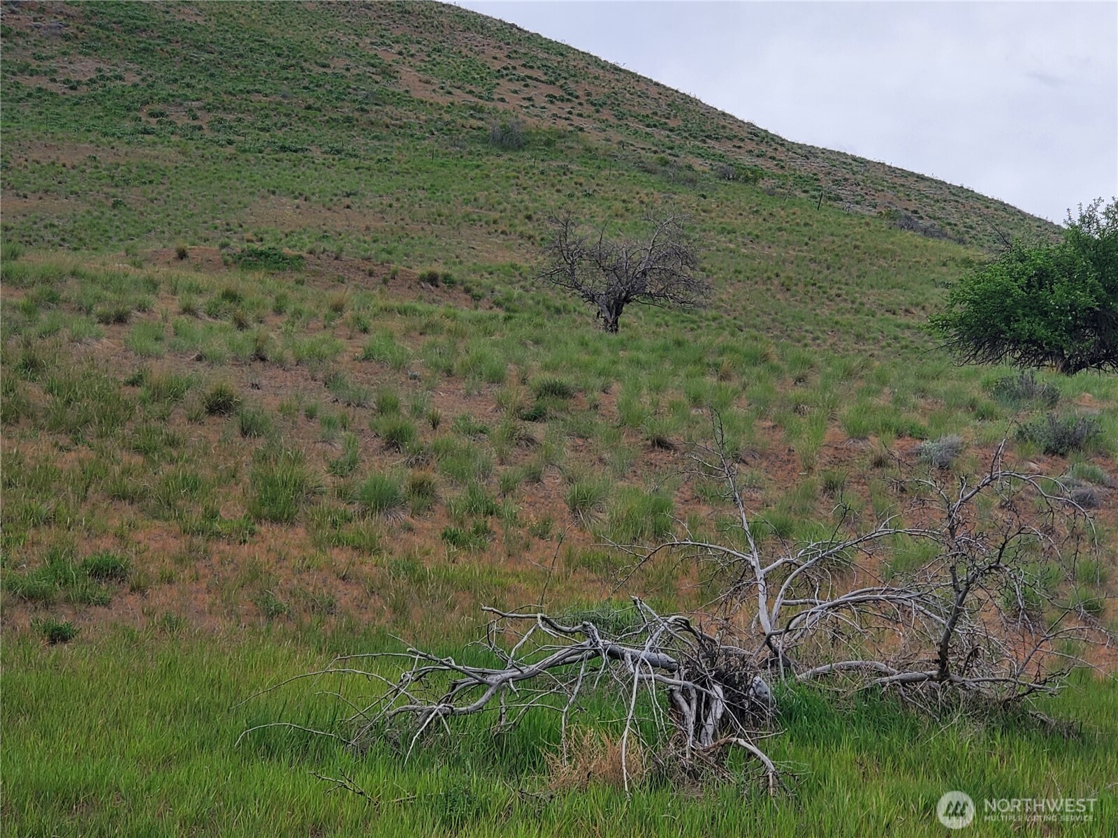 187 Twisp River Road Twisp, WA 98856 - Photo 13 of 40