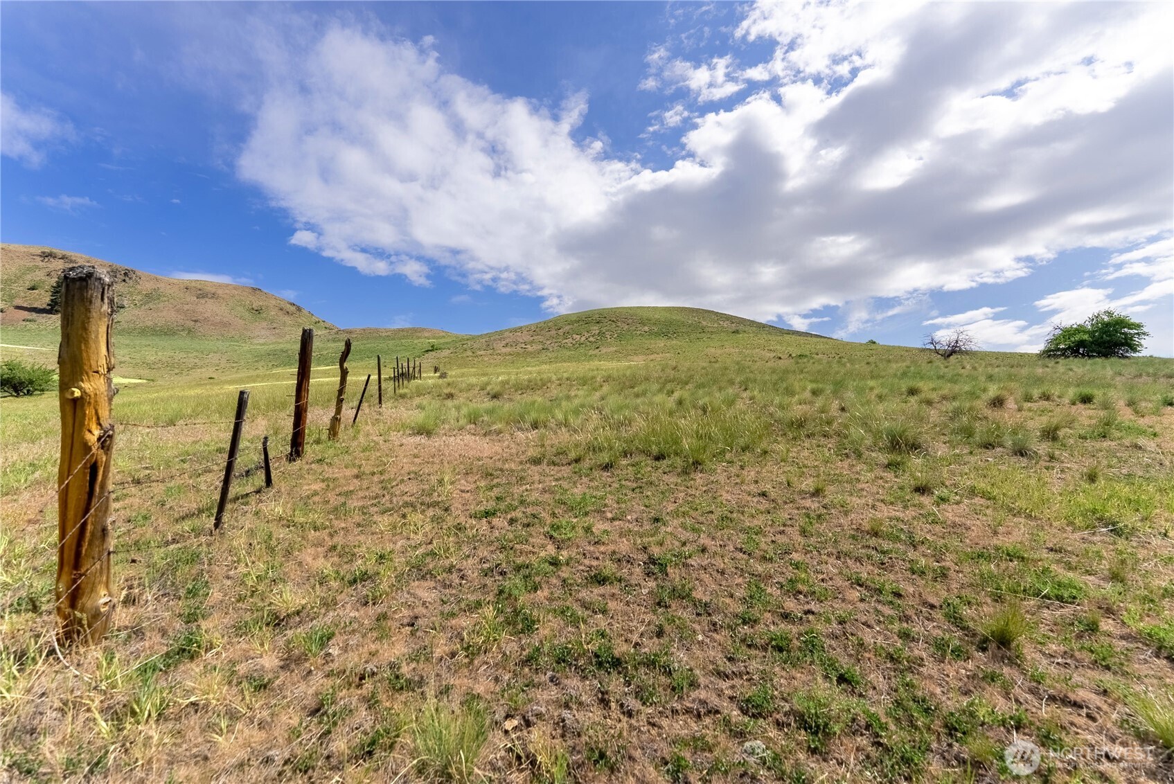 187 Twisp River Road Twisp, WA 98856 - Photo 18 of 40