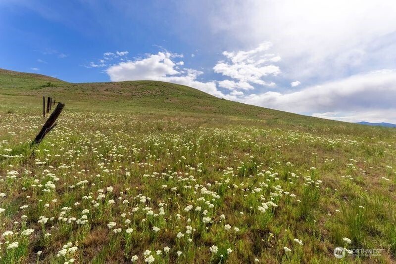 187 Twisp River Road Twisp, WA 98856 - Photo 4 of 40
