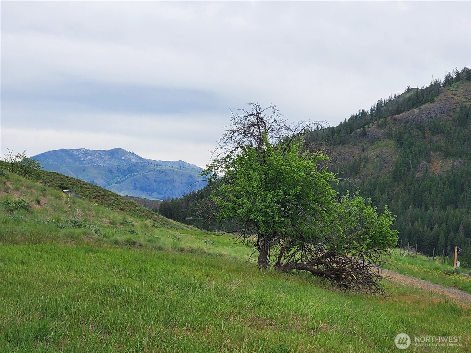 187 Twisp River Road Twisp, WA 98856 - Photo 5 of 40