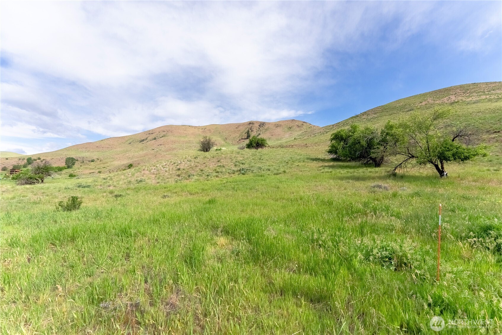 187 Twisp River Road Twisp, WA 98856 - Photo 6 of 40