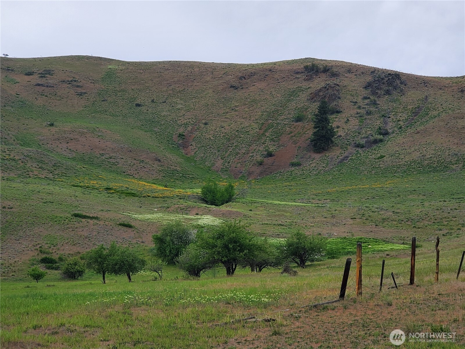 187 Twisp River Road Twisp, WA 98856 - Photo 10 of 40