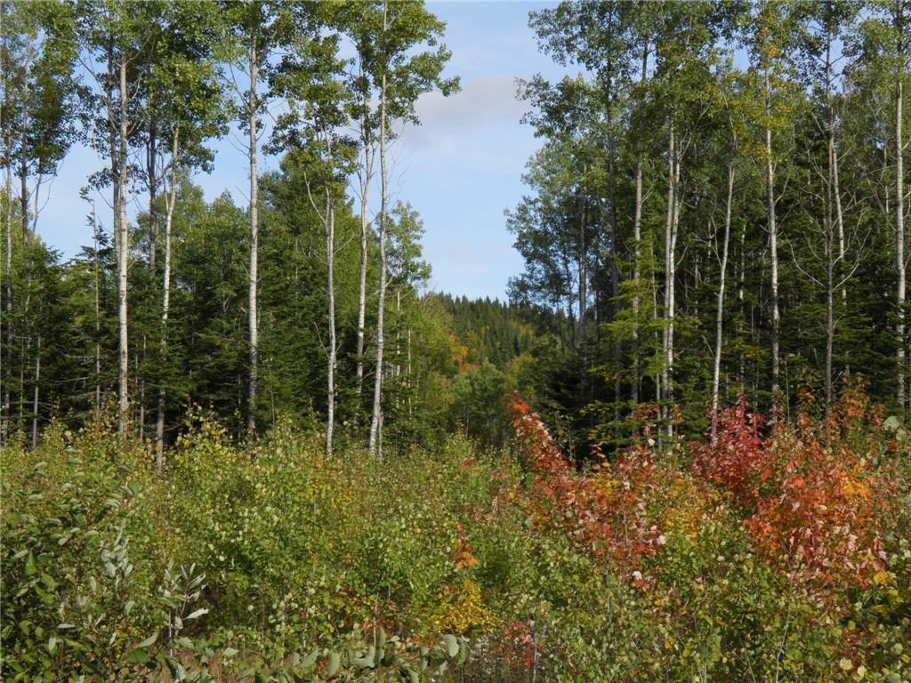 0 Orris Lamb Road Dallas Plt, ME 04970 - Photo 20 of 35 Photo