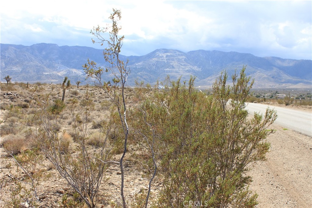 769 Meridian Road Lucerne Valley, CA 92356 - Photo 44 of 71 a view of a dry yard with mountains in the background