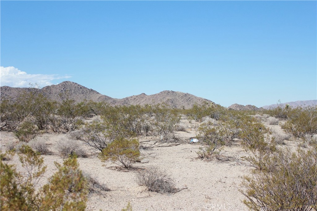 769 Meridian Road Lucerne Valley, CA 92356 - Photo 54 of 71 a view of a dry yard with mountains in the background