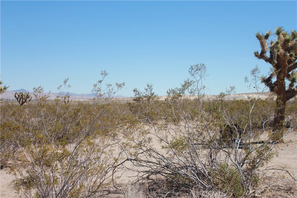 769 Meridian Road Lucerne Valley, CA 92356 - Photo 64 of 71
