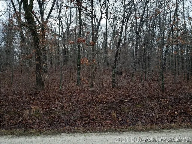 $12,000 | 29991-29992 Guccione Place, Edwards, MO 65326