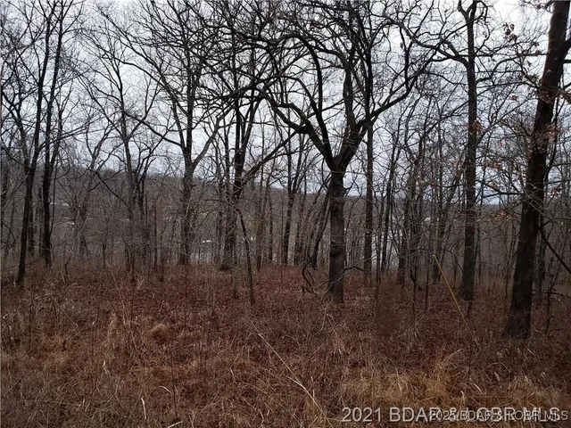 $12,000 | 29991-29992 Guccione Place, Edwards, MO 65326